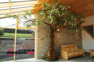 用人造仿真樹(shù)重現(xiàn)定義您的室內(nèi)外空間